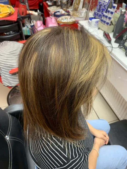 Highlights colour cut wash cut blow dry