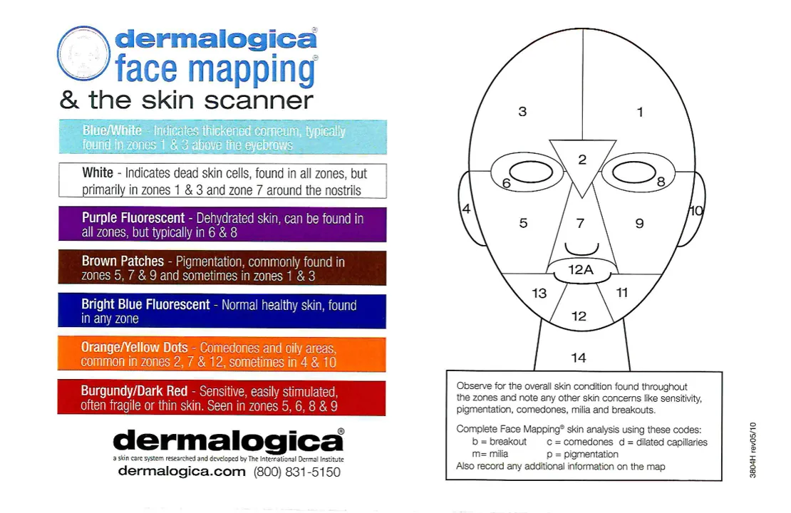 Dermalogica Facial face mapping done by Bina